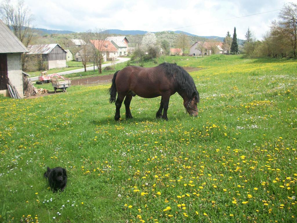 House Veljko Villa Vrhovine Buitenkant foto