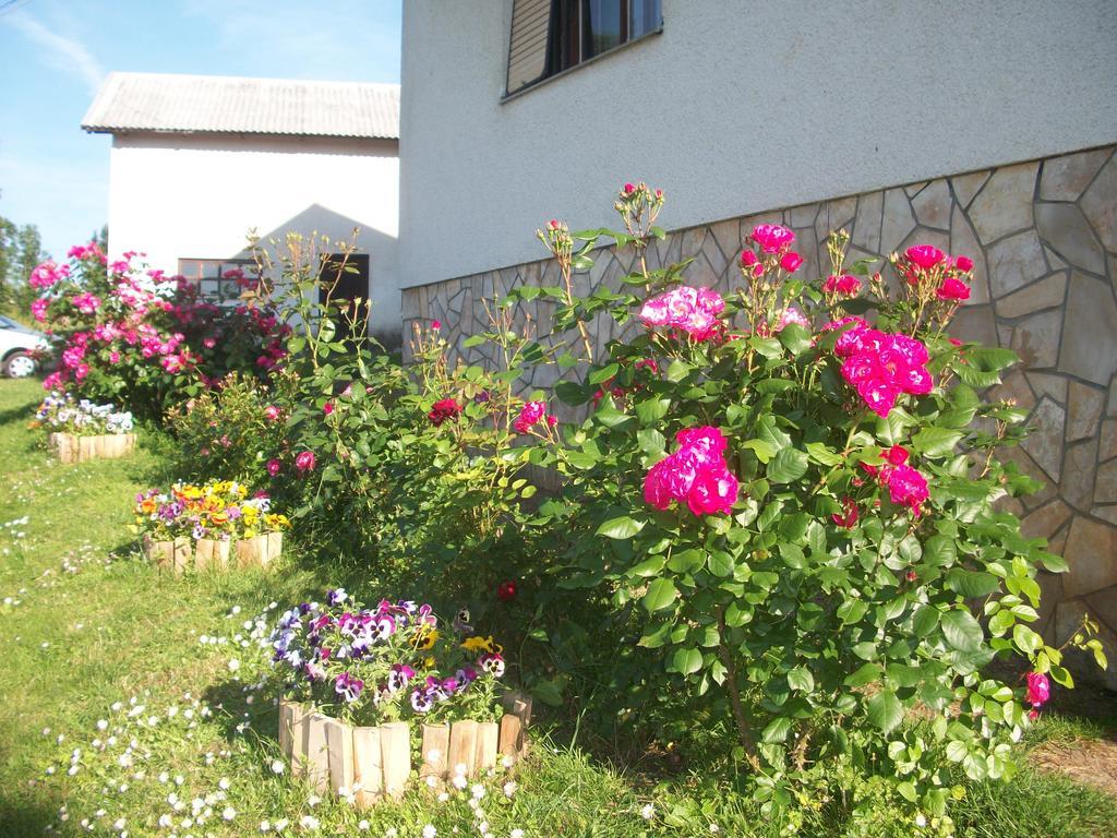 House Veljko Villa Vrhovine Buitenkant foto
