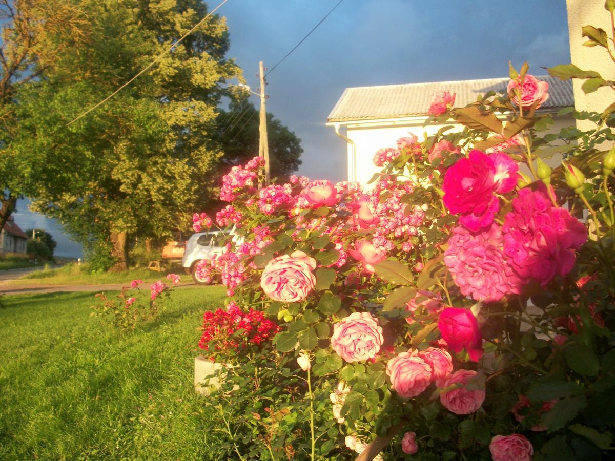 House Veljko Villa Vrhovine Buitenkant foto